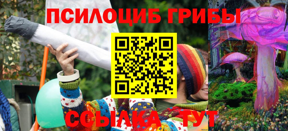 Псилоцибиновые грибы прущие грибы Воронеж